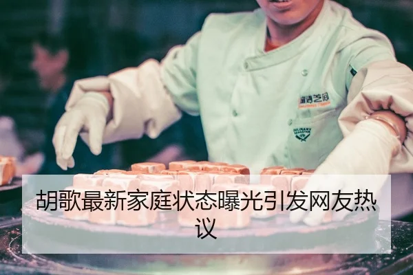 hu-ge-zui-xin-jia-ting-zhuang-tai-bao-guang-yin-fa-wang-you-re-yi-2-156.jpg