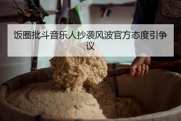 饭圈批斗音乐人抄袭风波官方态度引争议